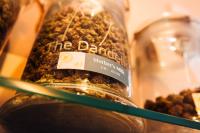 The Dandelion Dispensary image 2